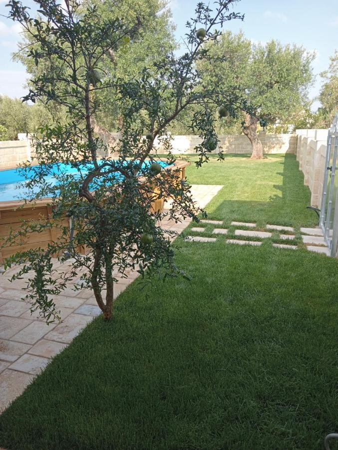 U Ceccenate Bed and Breakfast Montalbano  Eksteriør billede