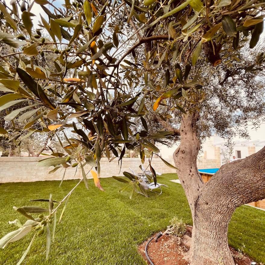 U Ceccenate Bed and Breakfast Montalbano  Eksteriør billede