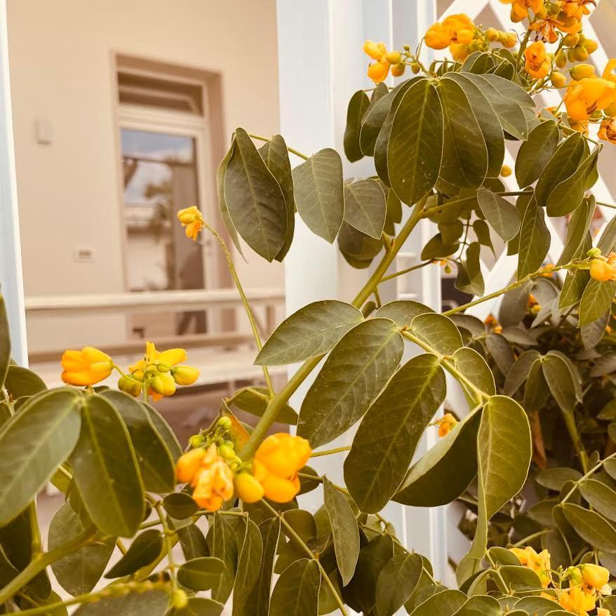 U Ceccenate Bed and Breakfast Montalbano  Eksteriør billede