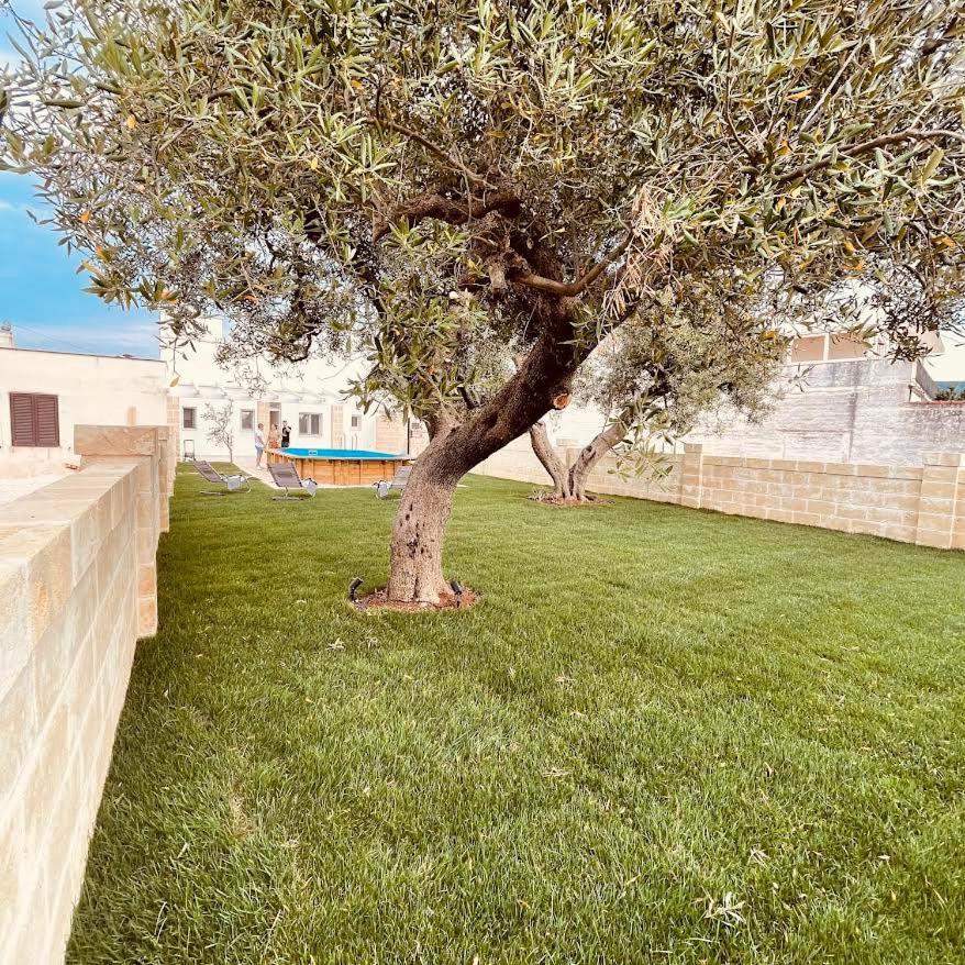 U Ceccenate Bed and Breakfast Montalbano  Eksteriør billede